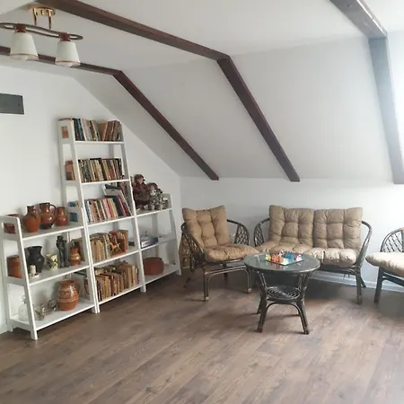 Guest house Casa Danei Brasov