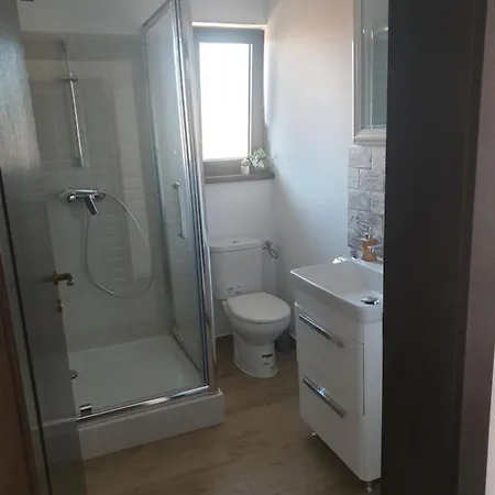 Guest house Casa Danei Brasov