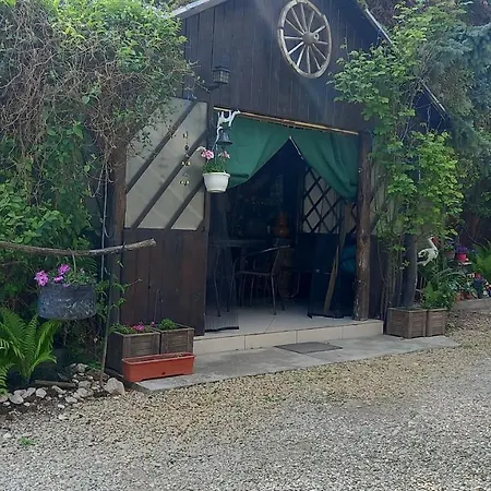 Guest house Casa Danei Brasov